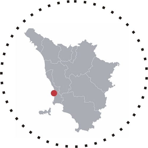 Dario di Vaira Vignaiolo a Bolgheri